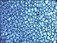 �������ܰ�